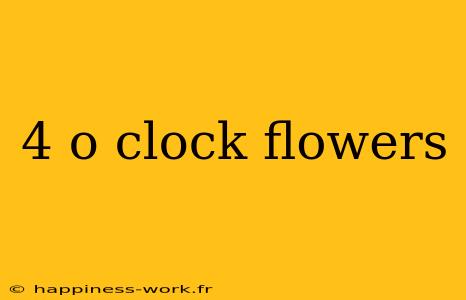 4 o clock flowers