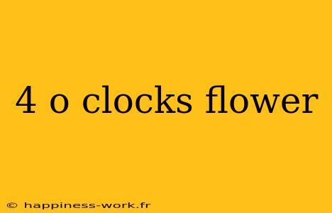 4 o clocks flower