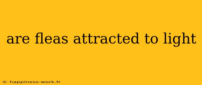 are fleas attracted to light