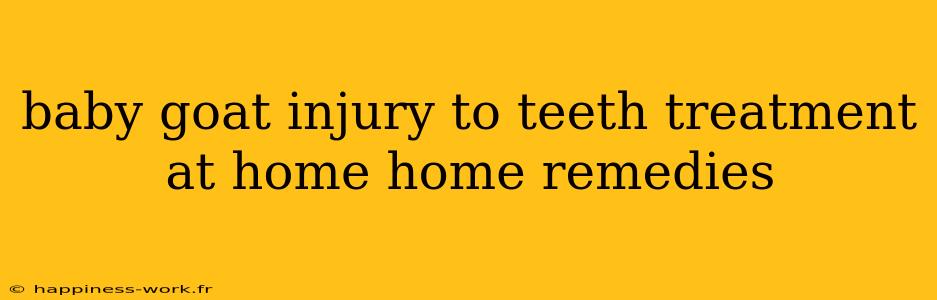 baby goat injury to teeth treatment at home home remedies