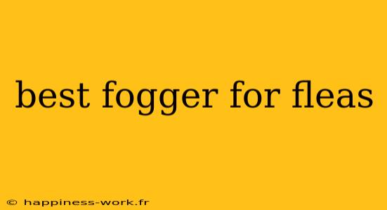 best fogger for fleas