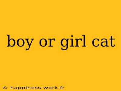 boy or girl cat