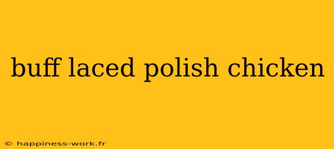 buff laced polish chicken