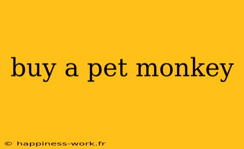 buy a pet monkey