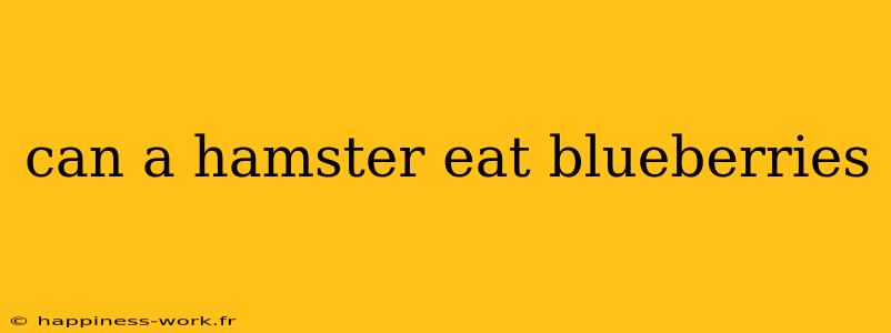 can a hamster eat blueberries