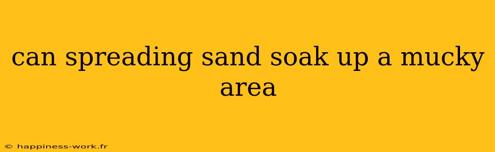 can spreading sand soak up a mucky area