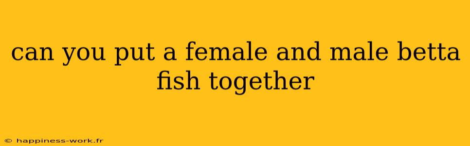 can you put a female and male betta fish together