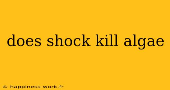 does shock kill algae