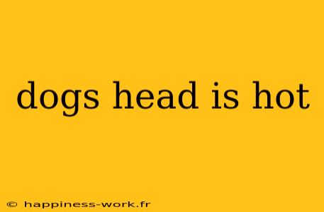 dogs head is hot