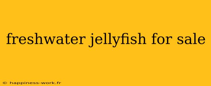 freshwater jellyfish for sale