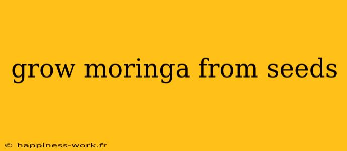 grow moringa from seeds