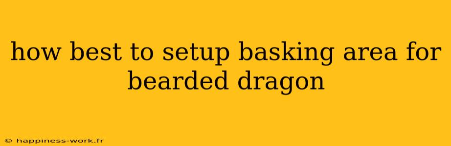 how best to setup basking area for bearded dragon