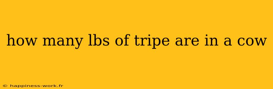 how many lbs of tripe are in a cow