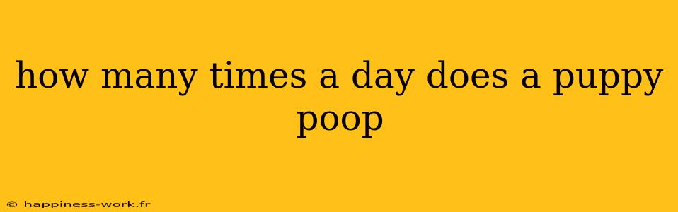 how many times a day does a puppy poop