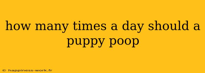 how many times a day should a puppy poop