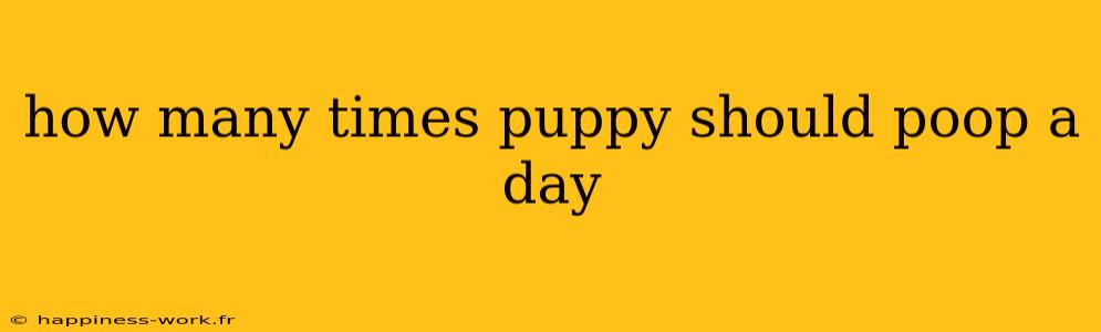 how many times puppy should poop a day