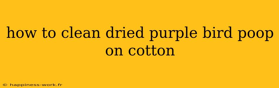 how to clean dried purple bird poop on cotton