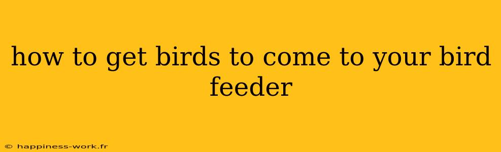 how to get birds to come to your bird feeder