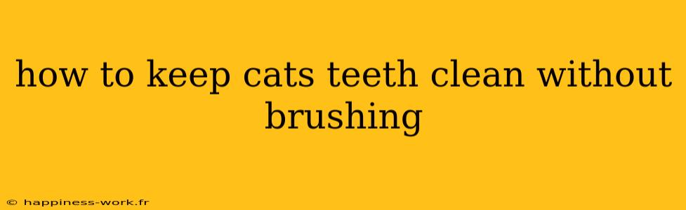 how to keep cats teeth clean without brushing