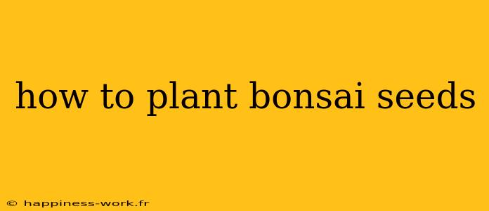 how to plant bonsai seeds