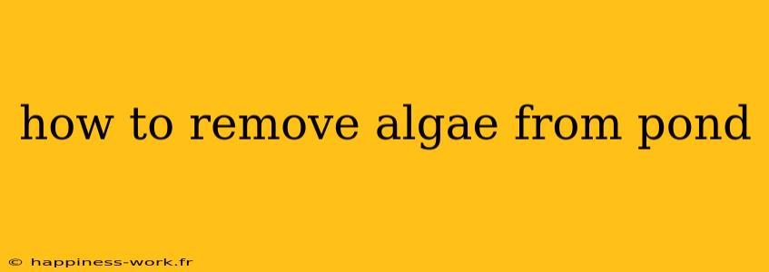 how to remove algae from pond