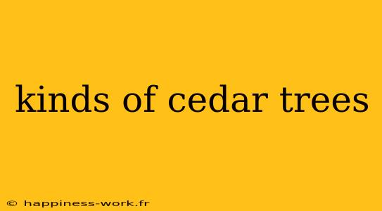 kinds of cedar trees