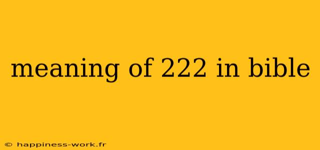 meaning of 222 in bible