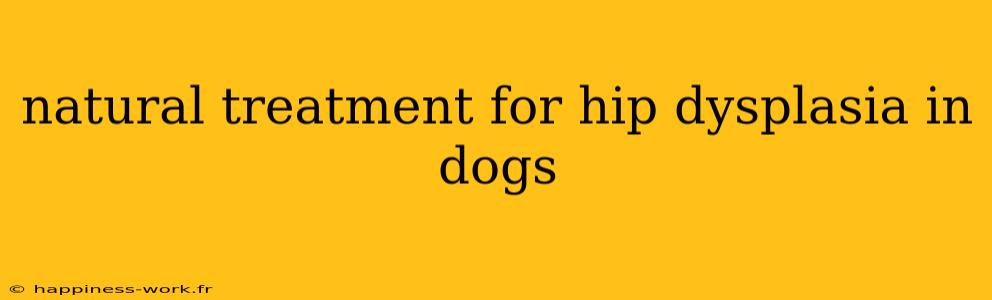 natural treatment for hip dysplasia in dogs