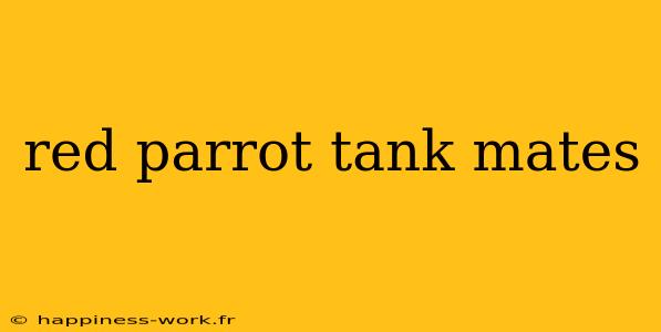 red parrot tank mates