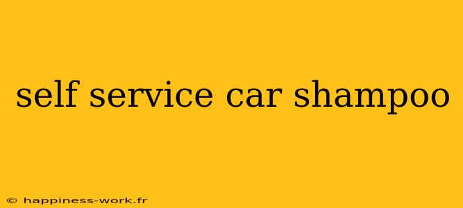 self service car shampoo