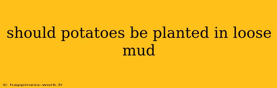 should potatoes be planted in loose mud