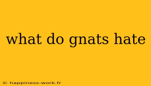 what do gnats hate