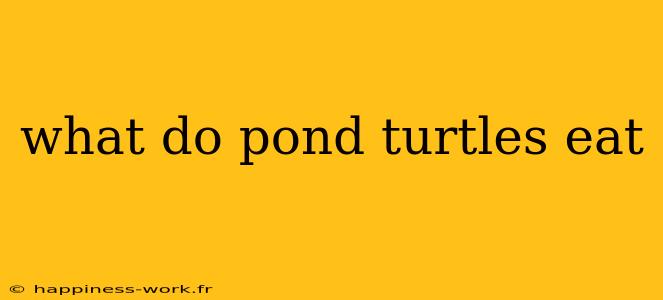 what do pond turtles eat