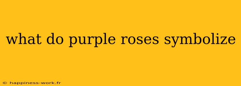 what do purple roses symbolize