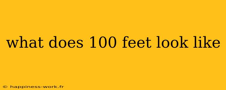 what does 100 feet look like