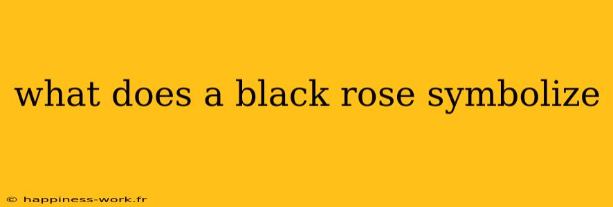 what does a black rose symbolize