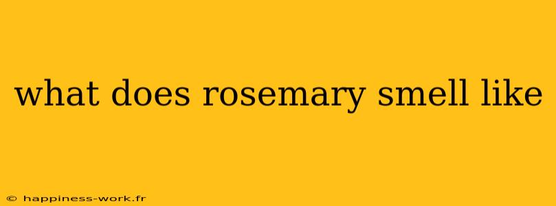 what does rosemary smell like