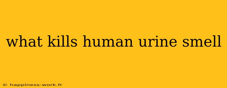 what kills human urine smell