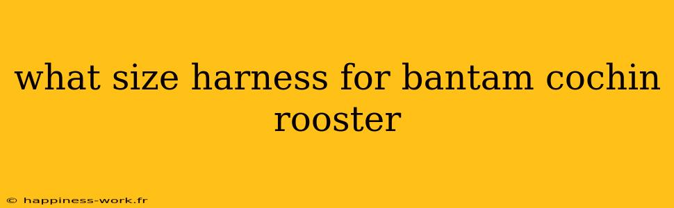 what size harness for bantam cochin rooster