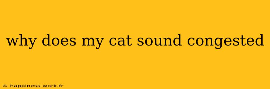 why does my cat sound congested