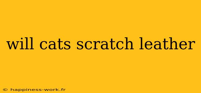 will cats scratch leather